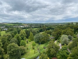 Blarney Gardens !